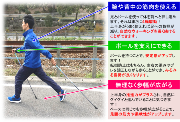 ノルディックウォーキング～歩き方とその効果～ - 総合体力研究所